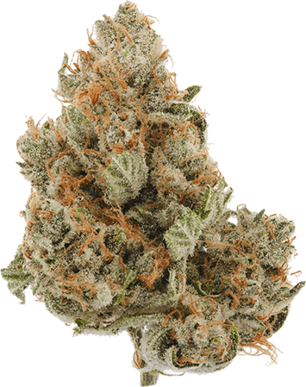 Yellow Haze OG image 1
